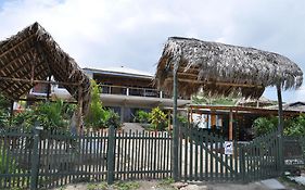 The Donkey Den